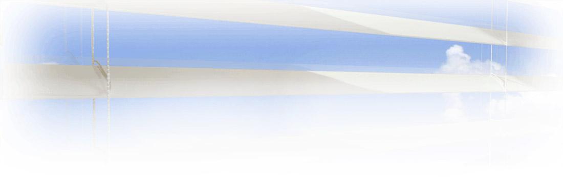 VenetiansBkgrd1100x363